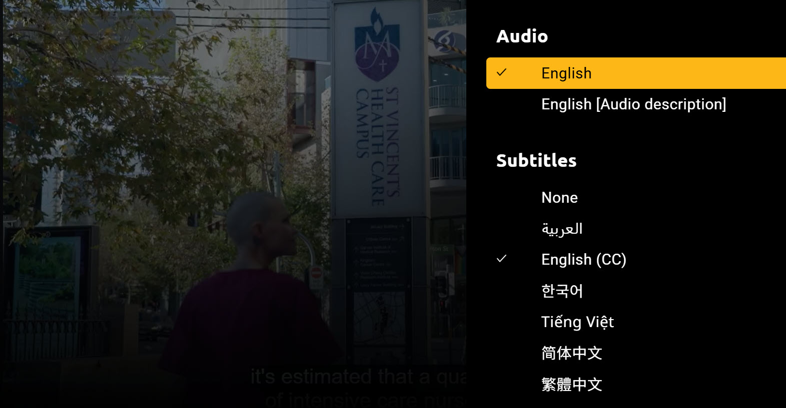 Fire TV Audio and Subtitles Options.jpg