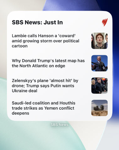 Screenshot of an iOS home screen featuring SBS News app widgets, highlighting news updates and information