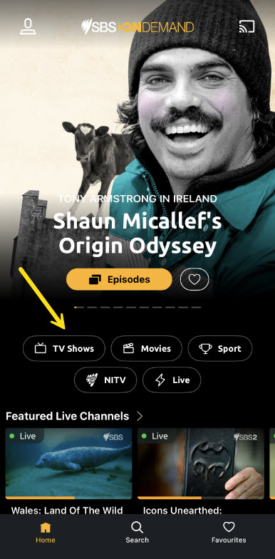 1. TV Shows.jpg